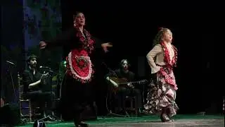 Panorama Flamenco: VICTORIA AMADOR 