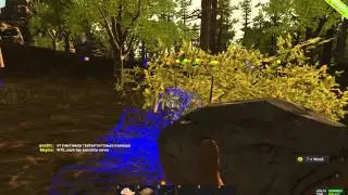 CFF-Team [Rust] + Function Thief