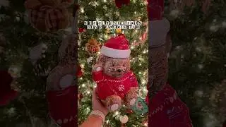 Finally found my teddy bear cookie jar for Christmas!!🎄🥹