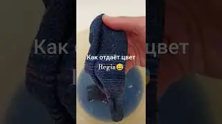 Regia и ВТО