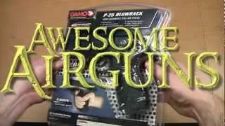 Review of the Gamo P25 Pellet Pistol