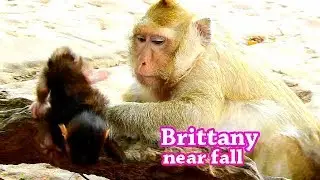 SORRY BABY ! Very worry Brittany learn walk bad way | Look mom care baby so fast.
