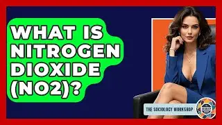 What Is Nitrogen Dioxide (NO2)? - The Sociology Workshop