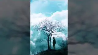 song: ishaaraaiy hey kuree