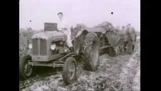 FORDSON DIESEL MAJOR BEET HARVESTING