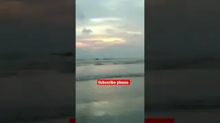 Cox's bazar #viralvideo #vuralshort #fish #viral #fishing #birds #launch #river #flight #padma