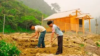 Sustainable agriculture   Duong builds new farms, farm entrances, livestock, family farms