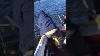 Lake trout at Richardson lakes Maine