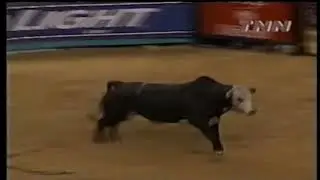 Dillinger bucks Tater Porter - 00 PBR Greensboro