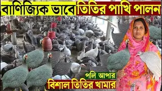 বাণিজ্যিক ভাবে তিতির পাখি পালন সম্পর্কে বিস্তারিত জানুন ।। A to Z ।। পলি আপার বিশাল তিতির খামার