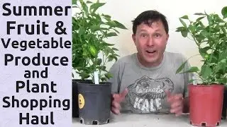 Summer Fruit and Vegetable Produce and Plant Shopping Haul