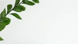 Curry leaves benefits | Home Remedies for Cough, Fever | Curry leaves medicinal Uses #curryleaves