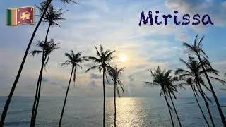 Sri Lanka XII.2025 - Mirissa 