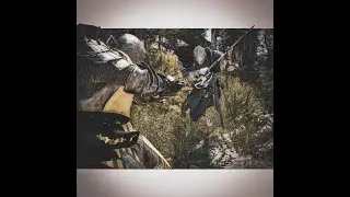 The Impaler - Mortal Online 2 PvP