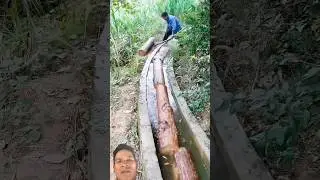 The method of working with wood using water is truly impressive.