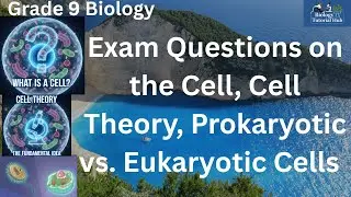Most Expected Exam Questions on the Cell, Cell Theory, Prokaryotic vs  Eukaryotic Cells (Grade 9)