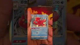 Chinese Pokemon Sword & Shield
