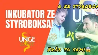 Inkubator dla gadzich jaj ze styroboksa - zrób to sam!🐣🐍