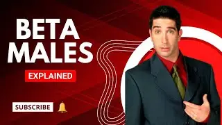 BETA MALE - Do You Qualify for Alpha or Beta?