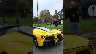 Only Joe Macari would put a Great Dane in a LaFerrari, and I'm absolutely here for it 😍