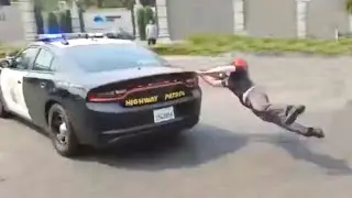 When Cars Don't Stop For Annoying Protesters