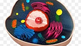 ultra structure of cell#biology class 9  #viral #neet #gs #comptetiveexams #ncrt ncrt