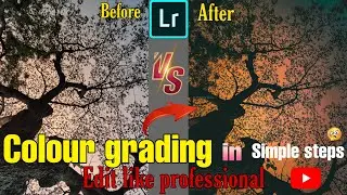 Advance Color Grading With Android (2020) - Adobe Lightroom | Nature photo editing | Pabitra edits