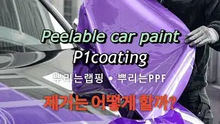 뿌리는PPF제거 뿌리는랩핑제거 Peelable car paint