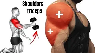 Shoulders and Triceps Workout at gym for building Muscles - Energy Bar