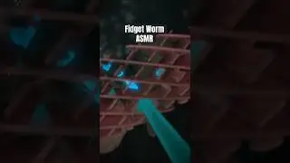 ASMR Echo Light Test ❇️ Flexi Fidget Worm