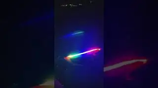 Custom Nissan Maxima upgrade