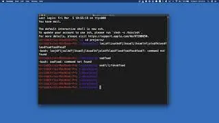 Bash From Beginner to Expert - Lesson 3  - The Basics of a Terminal and How to Interact With One