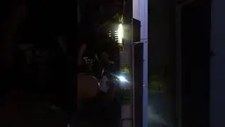 mob 47 - stop the slaughter (live)