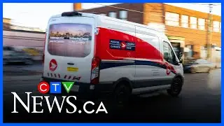 Canada Post to cut mail delivery frequency, union warns of &lsquo;huge job loss&rsquo;