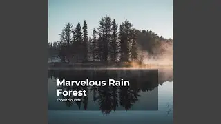River in the Wilderness
