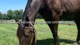 GEN100 What is AG? 720p