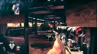 Alienvx | Blackops FFA Daytage