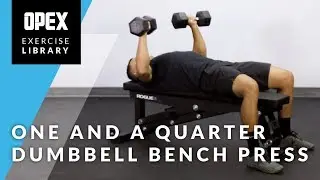 One and a Quarter Dumbbell Bench Press - OPEX Exercise Library