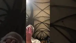 Predigt von Prof. Dr. Dr.  Matthias Beck zu 1700 Jahre Konzil von Nicäa im Wiener Stephansdom