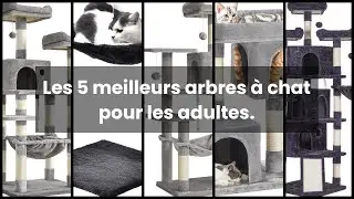 【Arbre &agrave; chat adulte】Les 5 meilleurs arbres &agrave; chat pour les adultes.