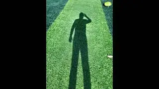 green shadow