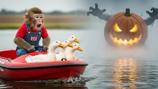 Monkey CO Drives the Rescue Boat to Rescue the Ducks from the Spooky Fog on Halloween