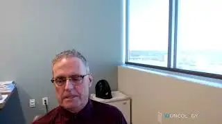 Dendritic cell therapy: immune cell collection and production process
