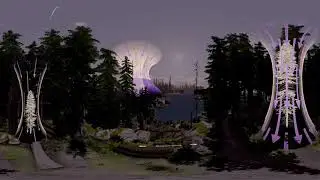 The 