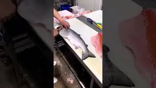 Tutorial memotong (fillet) ikan salmon dengan benar dan cepat #shorts #short
