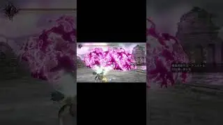 炎王の威圧感にビビる猛き炎。【ライズサンブレイク】