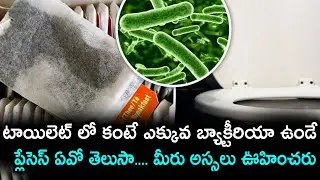 10 Possible items dirtier than toilet bowl | Trendsettertelugu.com