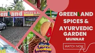 Spice & Ayurveda Secrets: A Guided Tour of Greenland's Garden in Munnar