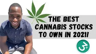 Sundial Growers (SNDL) & Organigram (OGI) Stock Price Predictions | Analysis | Cannabis 2021