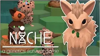 Dreams of Defending the Queen &bull; Niche: Jungle Update - Episode #20